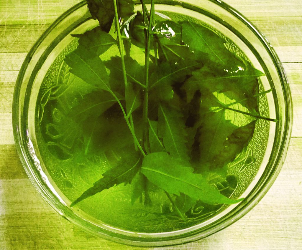 neem leaves in a bowl for acne treatment overnight